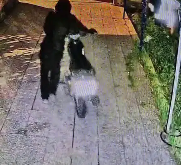 Reyhanlı'da gece yarısı operasyonu: Avluya giren maskeli hırsızlar kamerada