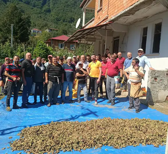 Acı dolu bahçede dayanışma vakti: Mahalleli, hayatını kaybeden kardeşlerin yarım kalan hasadını tamamladı