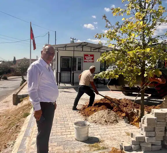 Sultanhisar'da Geleceğe Nefes Olacak Hamle: Fidanlar Toprakla Buluşuyor