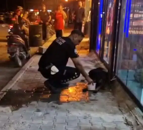 Samandağ'da vicdanları sızlatan olay: Polis ekipleri yaralı köpeği yalnız bırakmadı
