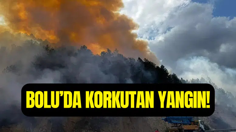 Bolu Mengen’de orman yangını çıktı