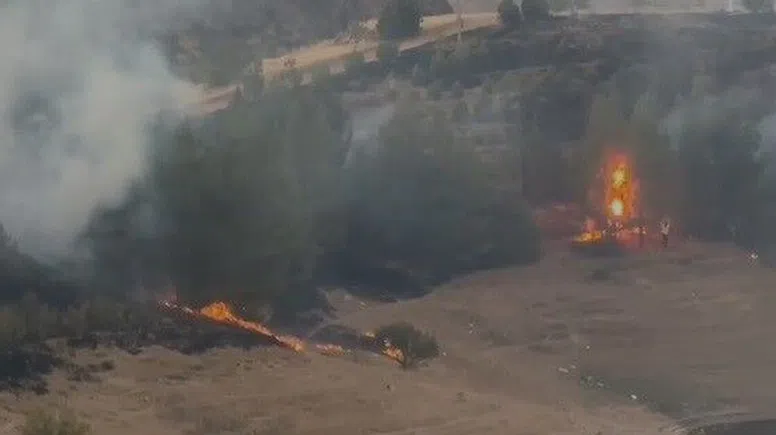 Elazığ'daki kırsal alan yangını kamerada!