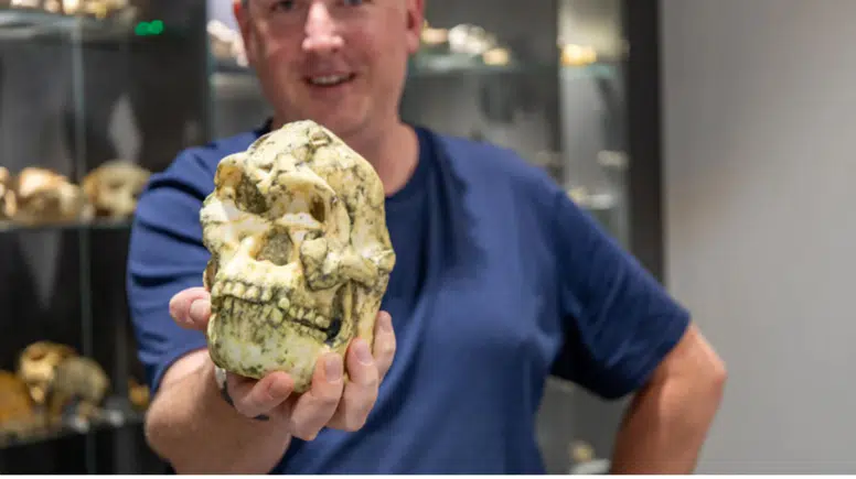 İnsanlık tarihi sil baştan: 3.6 milyon yıllık Little Foot yeni bir tür çıktı
