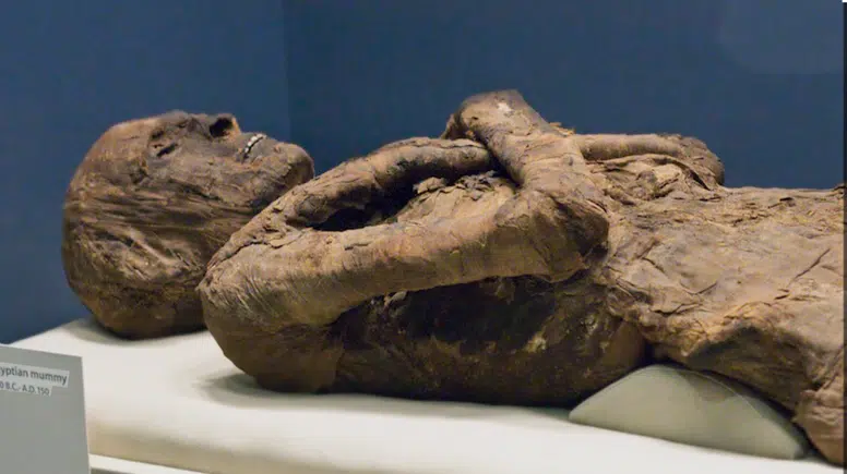 Antik Mısır’da mumyaların ölüm kokusu sırrı keşfedildi