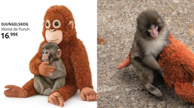 Viral bebek maymun Punch, IKEA’nın yeni duygusal pazarlama örneği oldu
