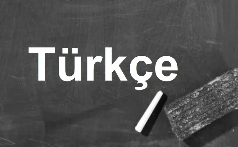Uzakların gizli kardeşi: Türkçenin matematiksel ikizi keşfedildi