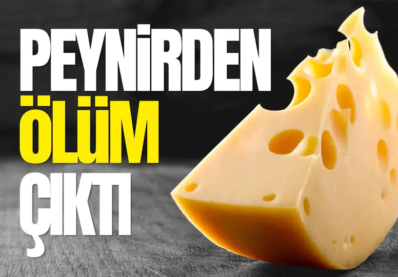 Peynirden ölüm çıktı! ABD’de yumuşak peynir alarmı