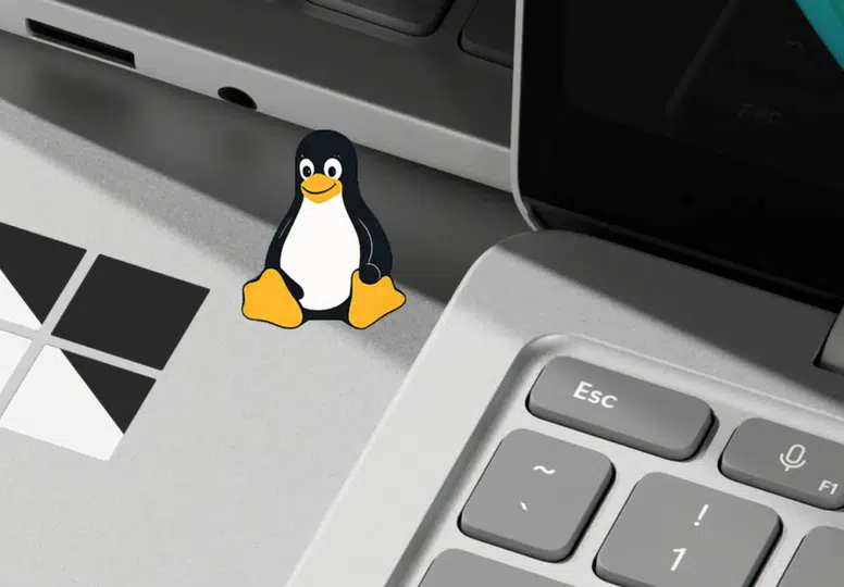 Windows geliştiricileri için Linux dönemi başlıyor