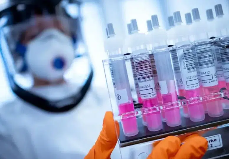 H5N1 kuş gribi Avustralya sınırlarını aştı: Küresel salgında tüm kıtalar virüsle tanıştı