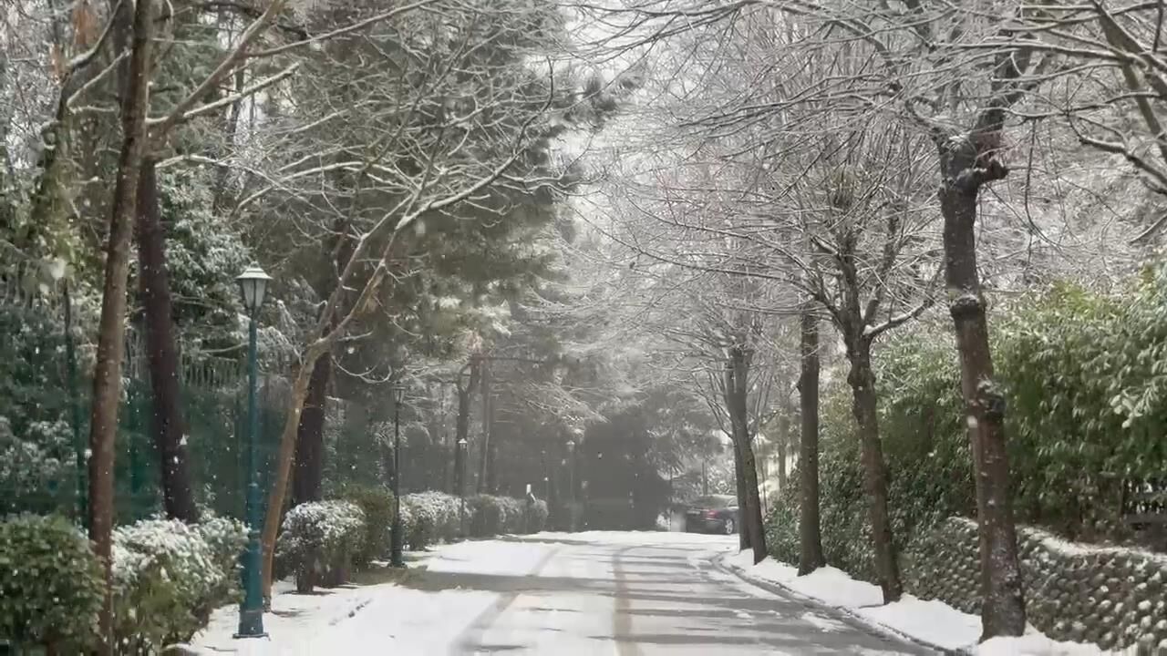İstanbul'dan kar manzaraları 7