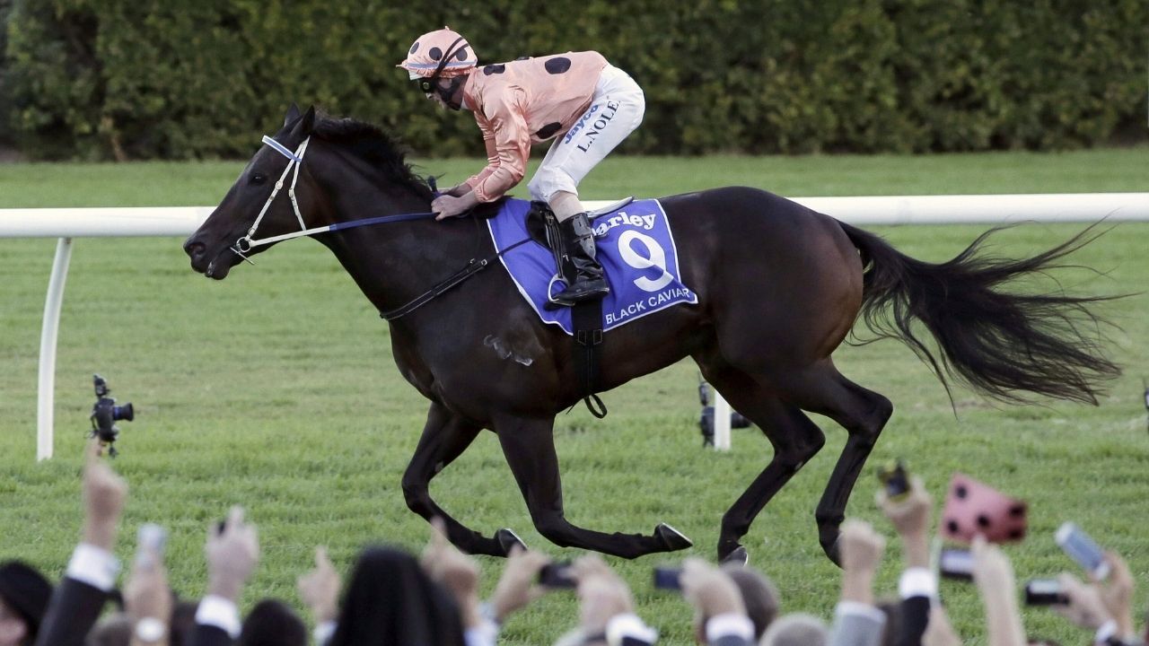 Tarihin en hızlı atı hangisi? İşte gelmiş geçmiş en süratli 5 at 2