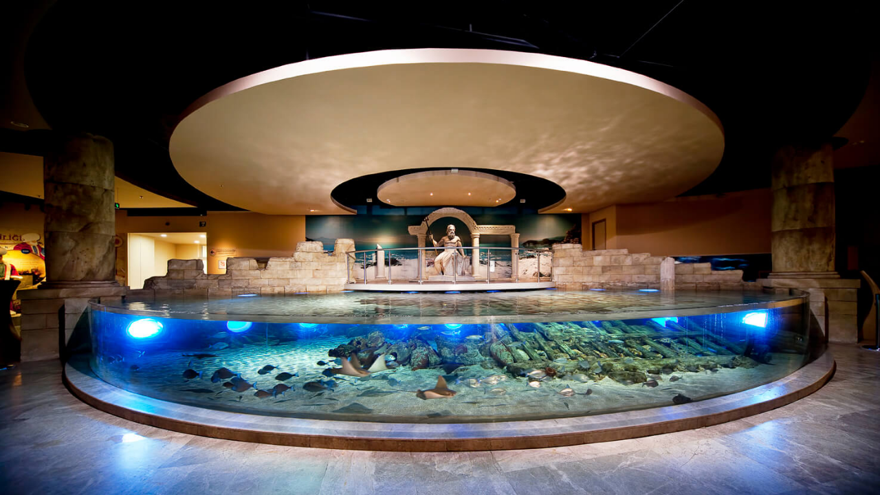 Florya Akvaryum'a Giriş Ücreti Ne Kadar  (1)