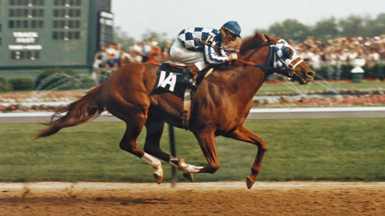 Tarihin en hızlı atı hangisi? İşte gelmiş geçmiş en süratli 5 at 5