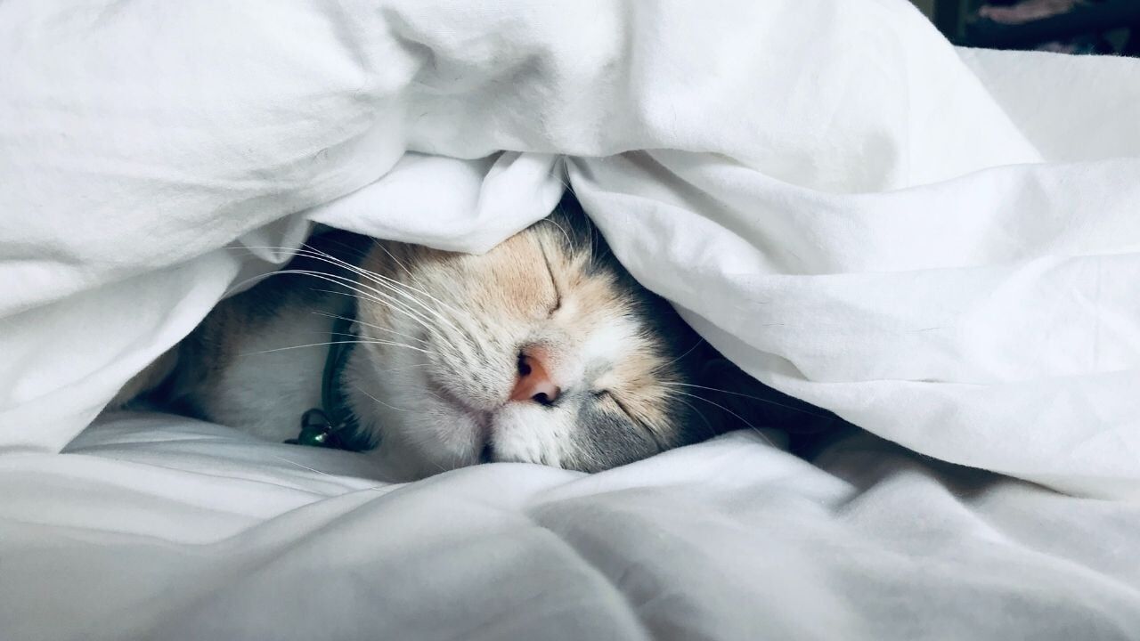 Uyyku3