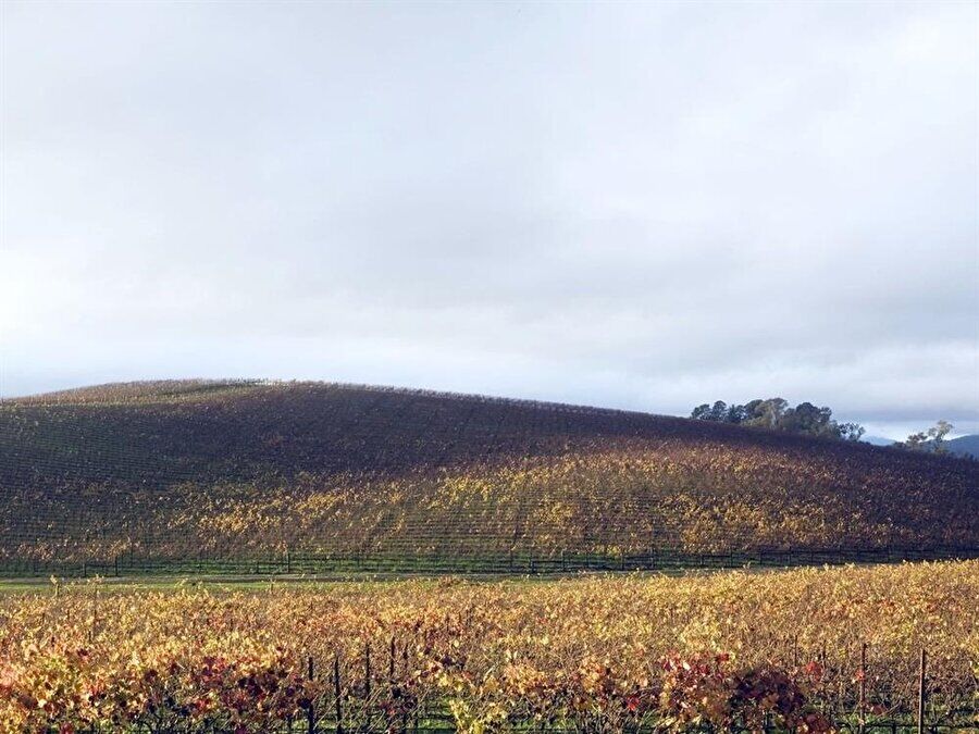 Windows Xp3