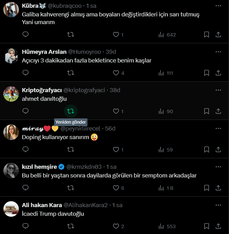 Ekran Görüntüsü 2025 04 08 162045