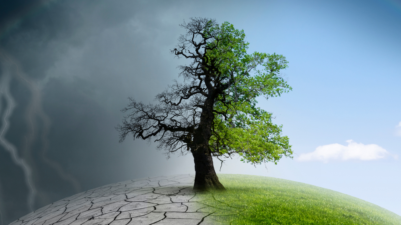 İklim Kanunu Nedir (3)