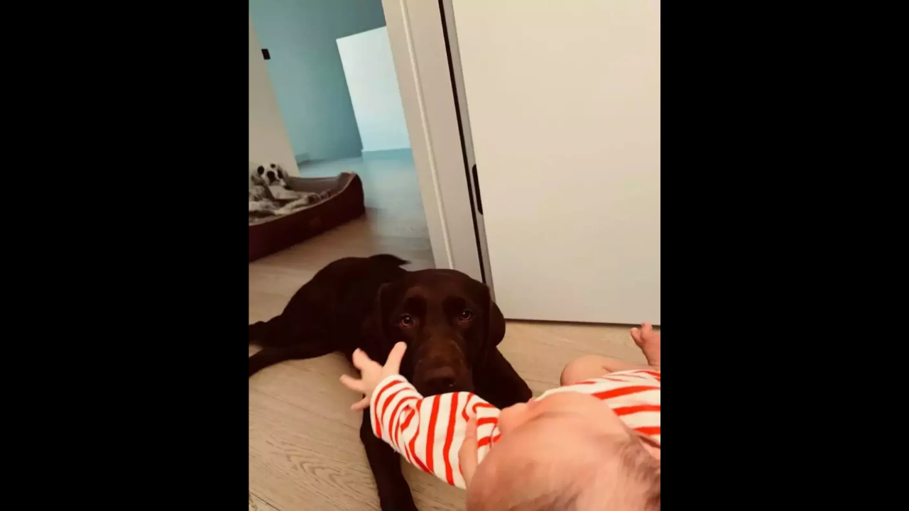 Pınar Deniz Ile Kaan Yıldırım’ın Bebek Sevinci Fikret Hakan’la Ilk Aile Pozu Geldi (1)