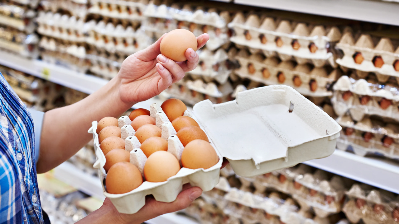 Yumurtaya 9 Ayda Zam Yağmuru Tanesi 10 Tl Oldu (1)
