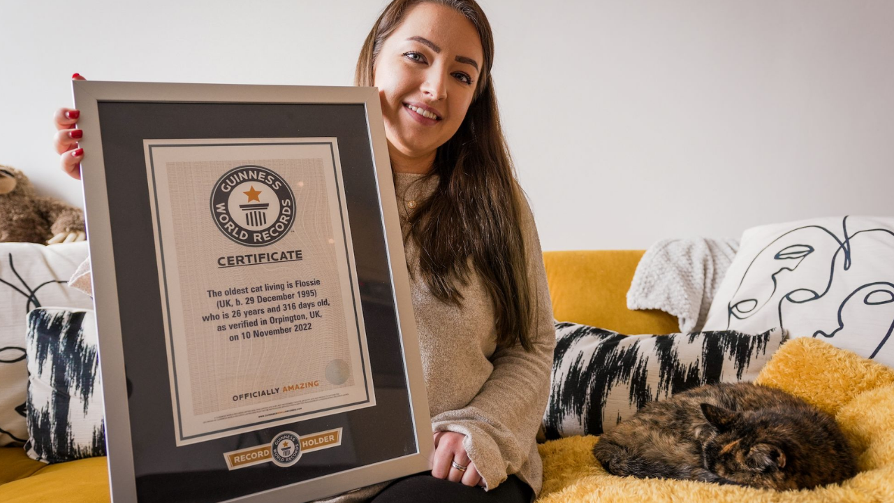 120 Insan Yılına Denk Dünyanın En Yaşlı Kedisi Flossie 30. Yaşını Kutluyor