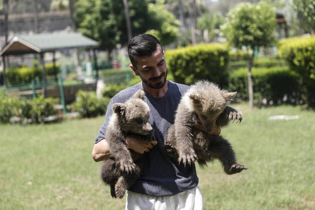 Mersin'in Yeni Yıldızları: Bozayı Kardeşlerin Kurtuluş Hikâyesi! 2