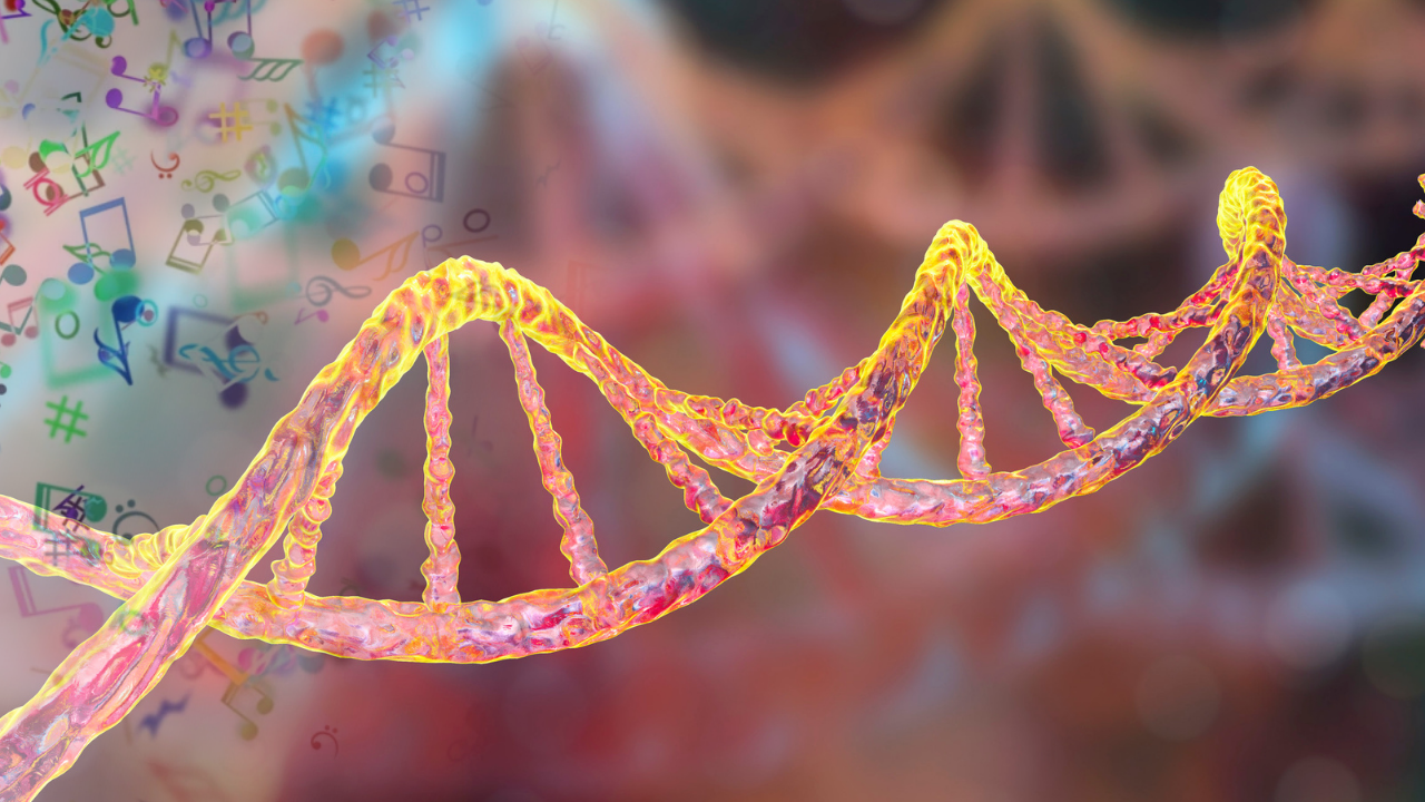 Müzik Dinlerken Aldığınız Zevk Genlerinizde Saklı Olabilir! (2)