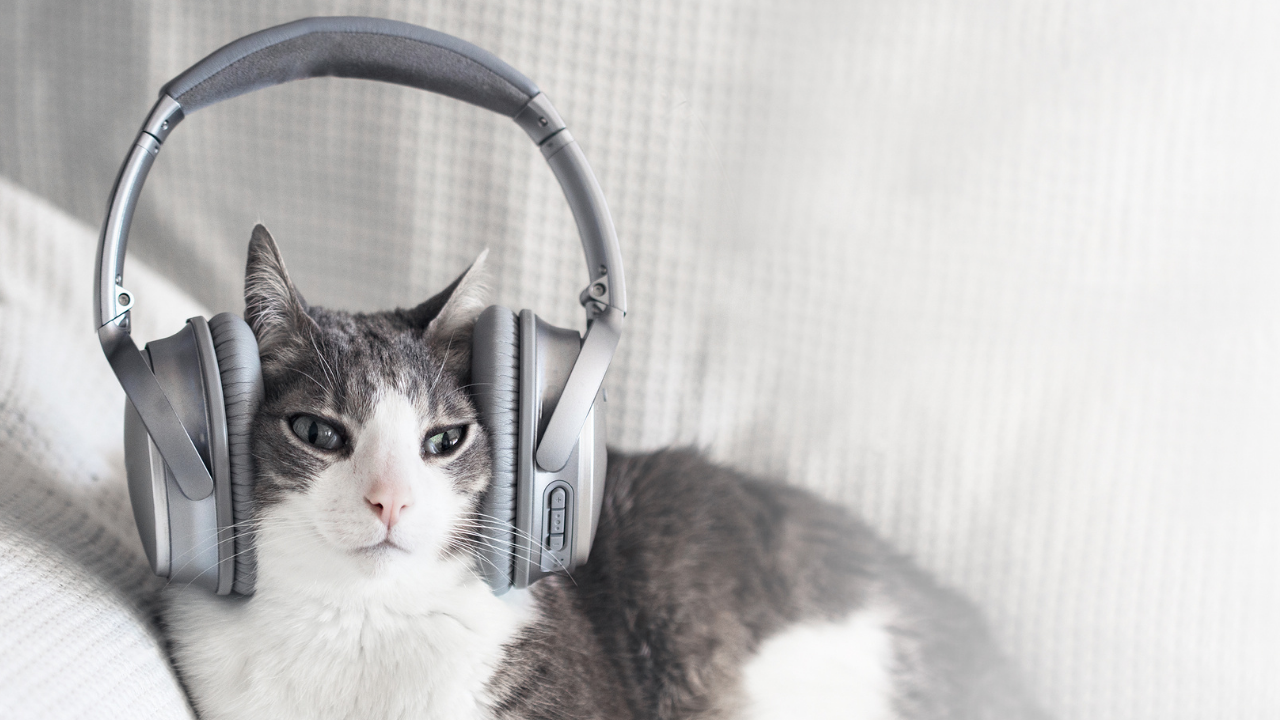 Müzik Dinlerken Aldığınız Zevk Genlerinizde Saklı Olabilir! (3)