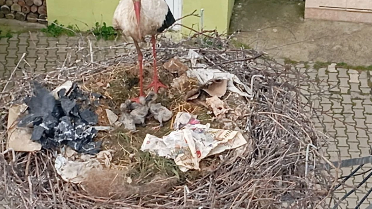 Yaren’in Rakibinden Sürpriz Fadıllı’nın Efsanesi Bilal Leylek Baba Oldu