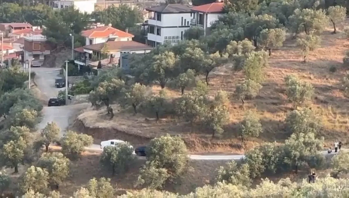 6855A69D8Eb45410 W1200Xh679