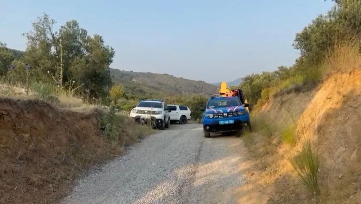 6855A69D9048E835 W1200Xh679