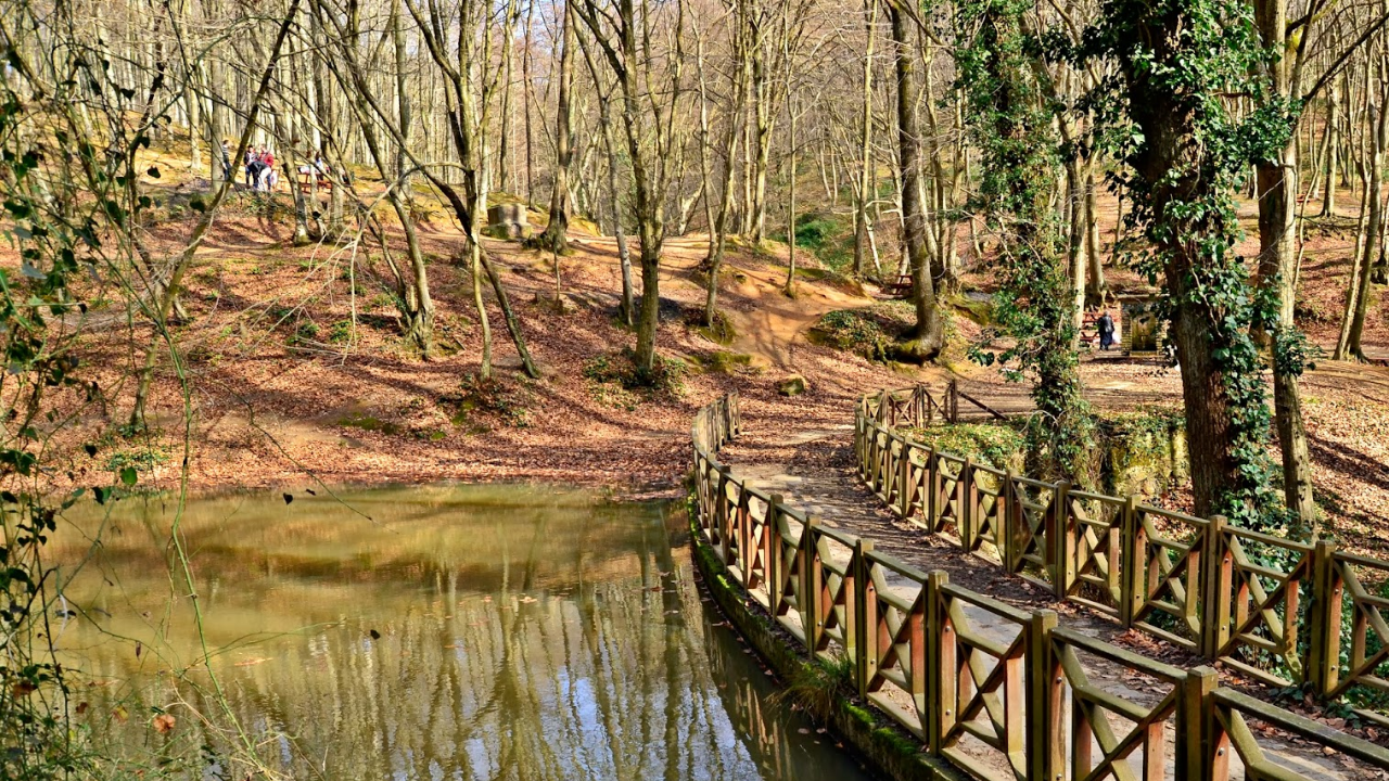 İstanbul’da Ormanlara Giriş Yasaklandı! Ateş Yakana Dev Ceza Geliyor, Dikkat! (1)