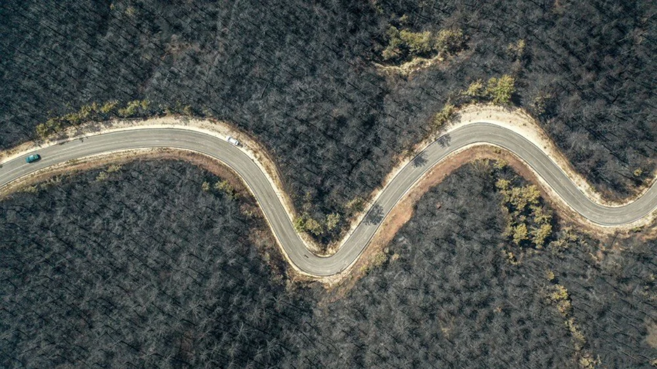 Sakarya’dan Bilecik’e Kabus Gibi Yangın! 14 Köy Boşaltıldı, Ormanlar Kül Oldu 1