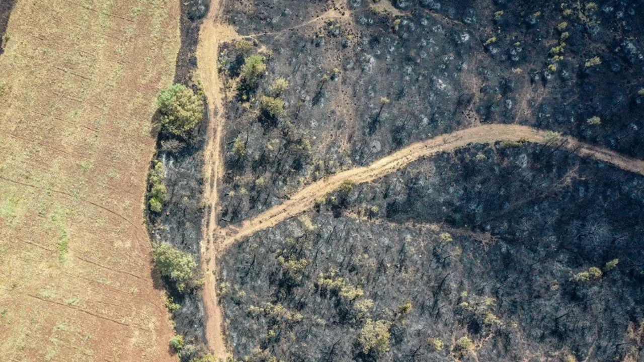 Sakarya’dan Bilecik’e Kabus Gibi Yangın! 14 Köy Boşaltıldı, Ormanlar Kül Oldu 4