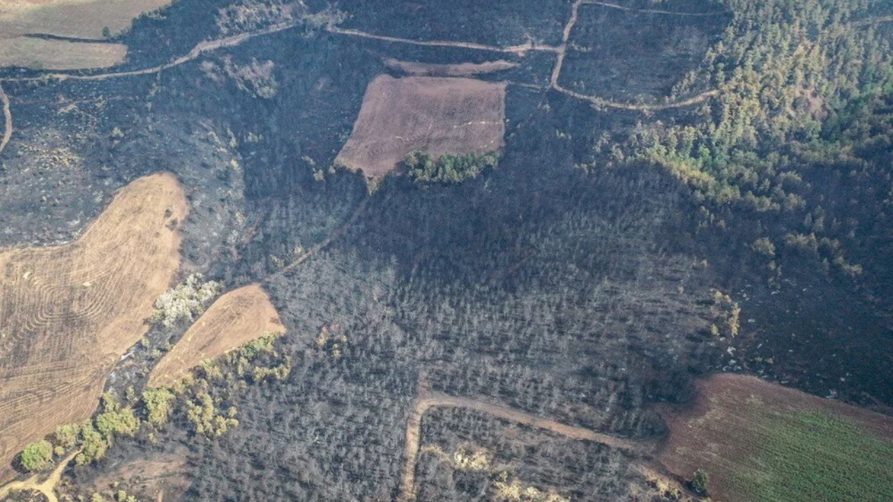 Sakarya’dan Bilecik’e Kabus Gibi Yangın! 14 Köy Boşaltıldı, Ormanlar Kül Oldu 5