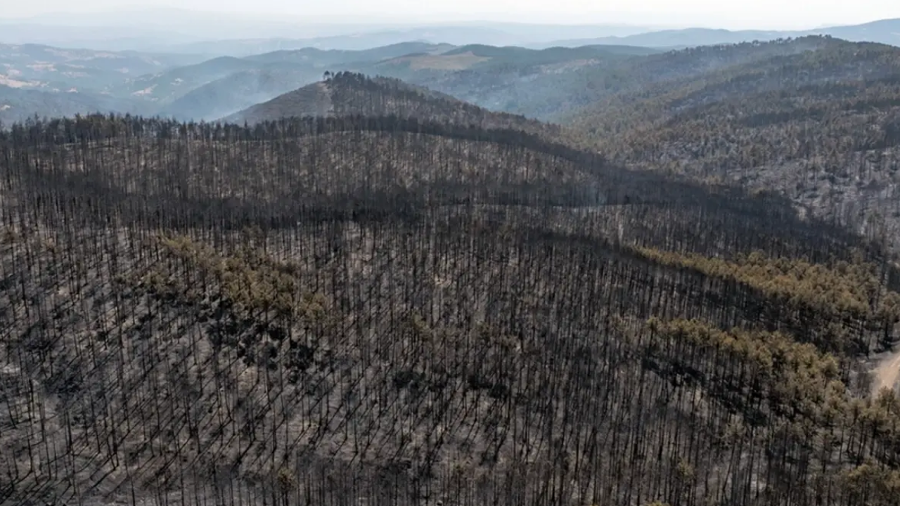 Bursa’da Yangın Kabusu Sona Erdi Alevler 5. Günde Kontrol Altına Alındı (2)