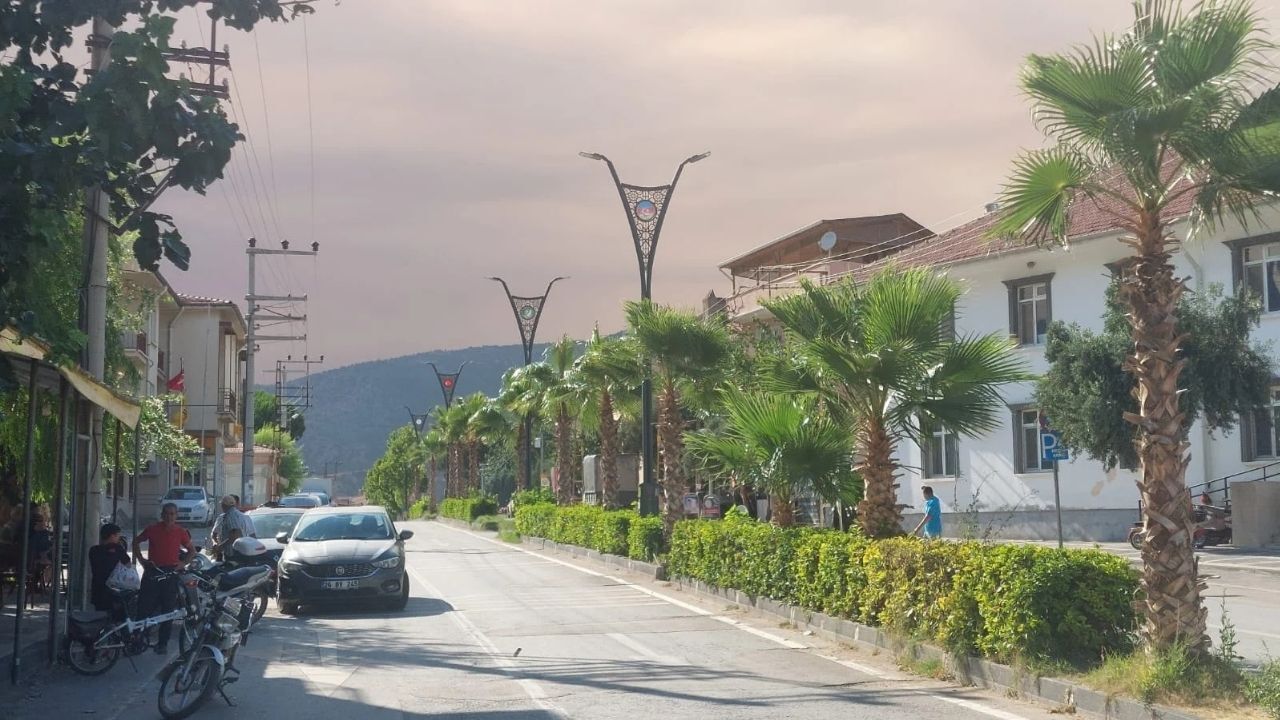 Sakarya'daki Yangın Bilecik'e Sıçradı (4)