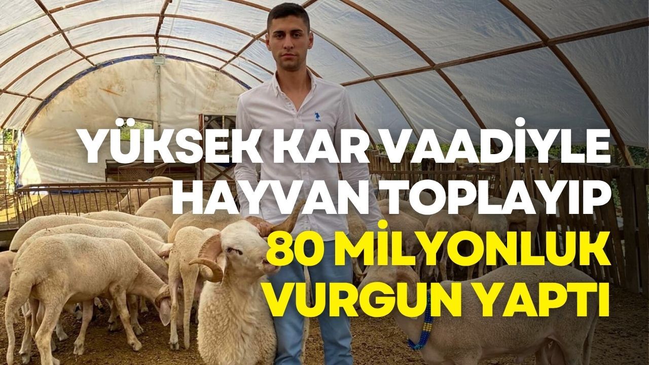 Yüksek Kar Vaadiyle Hayvan Toplayıp 80 Milyonluk Vurgun Yaptı! (1)