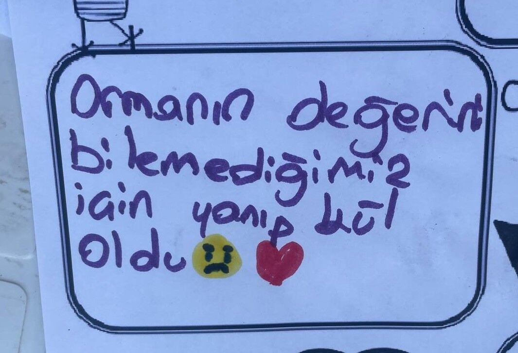 Bursa’da Orman Yangınlarından Etkilenen Çocuklara Psikolojik Destek! 06