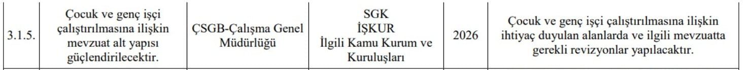 Çocuk İşçiler Ölüyor Bakanlık Resmen Önünü Açıyor! İşte Tepki Çeken O Madde... 1