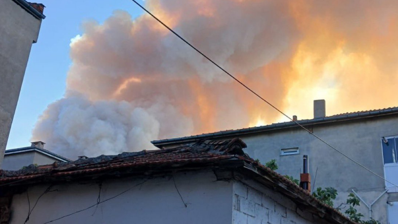 Bursa Osmangazi’de Orman Yangını (1)