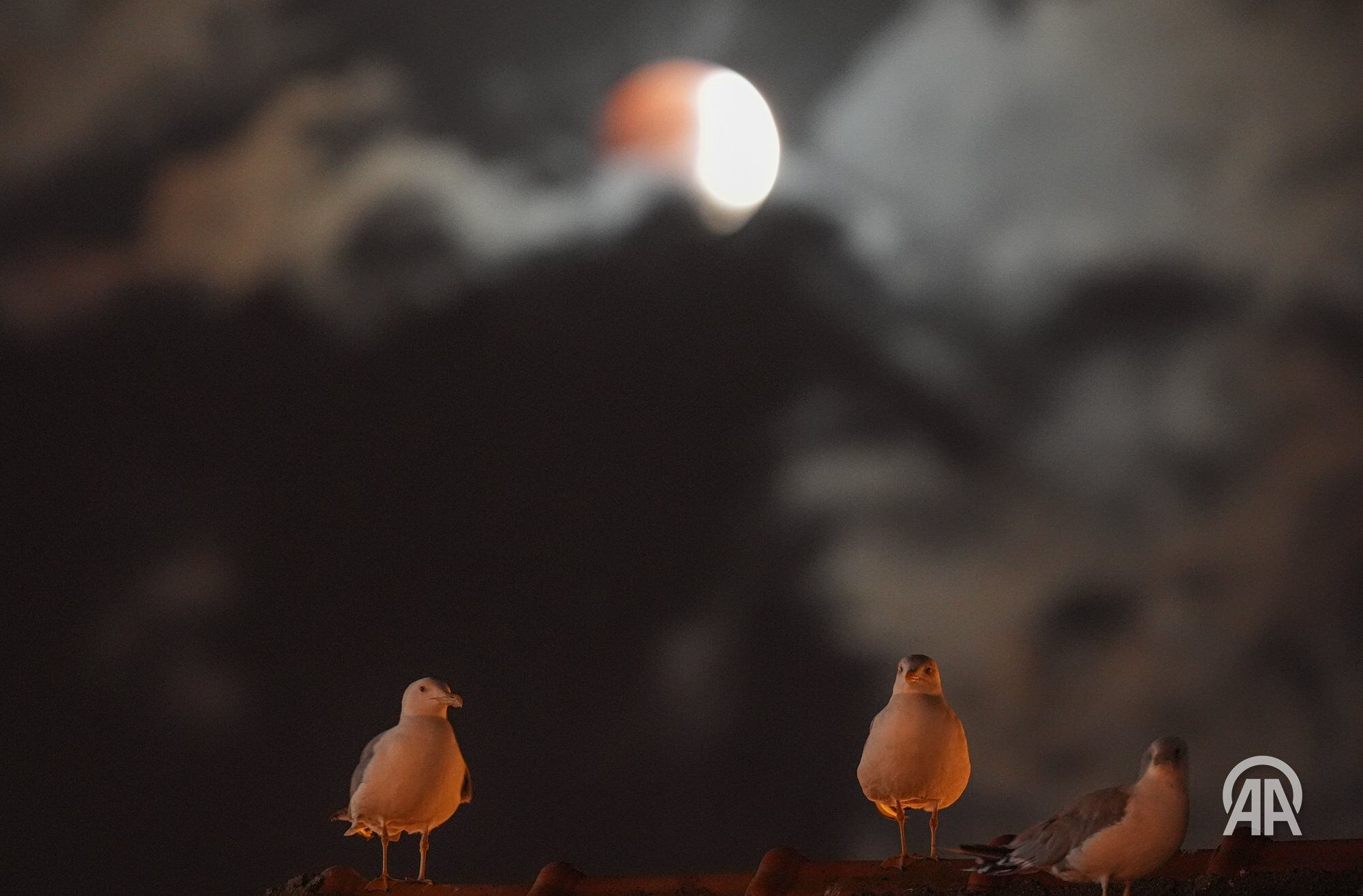 Kanlı Ay Tutulması Türkiye’den Böyle Görüntülendi! 2