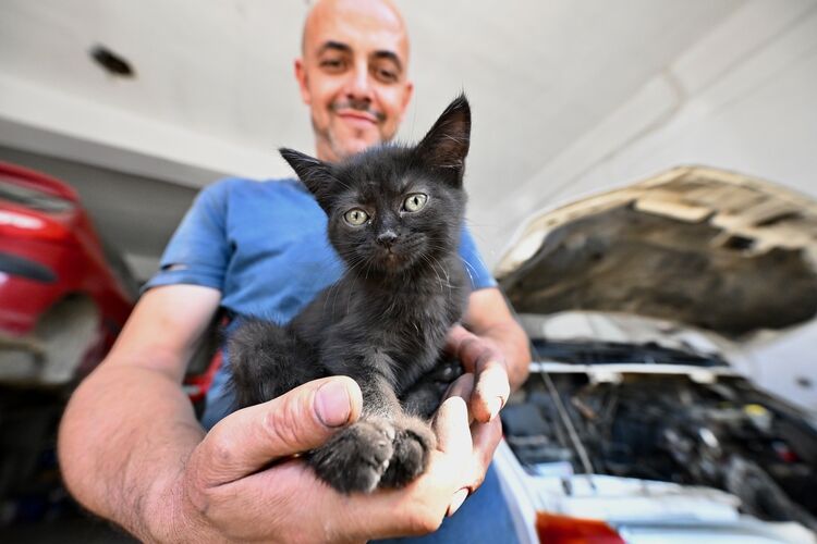 Tamir İçin Gelen Aracın Motorundan Kedi Çıktı Usta Adını %22Çırak%22 Koydu! 3