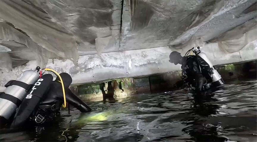 Denizde Mahsur Kalan Yaramaz Kediyi Dalgıç Polisler Kurtardı!2