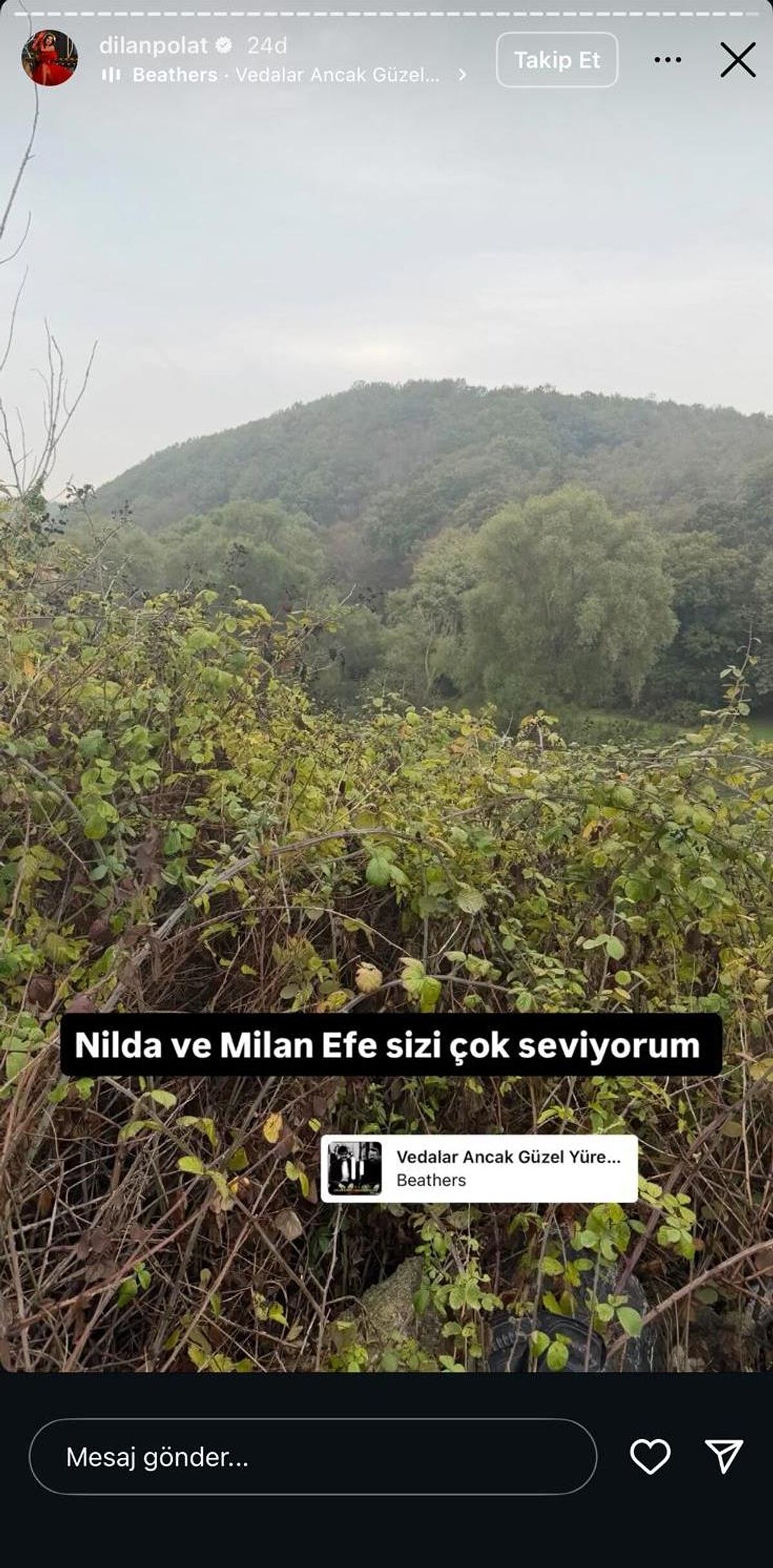 İddia Dilan Polat Köprüde Canına Kıymak İsterken Son Anda Kurtarıldı! 1