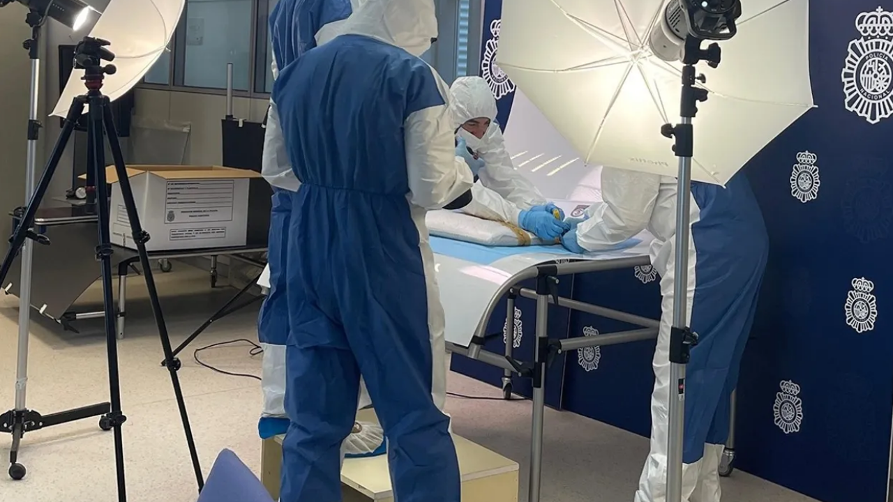 İspanya Polisi, Picasso’nun Kayıp Tablosunu 3 Hafta Sonra Buldu (3)