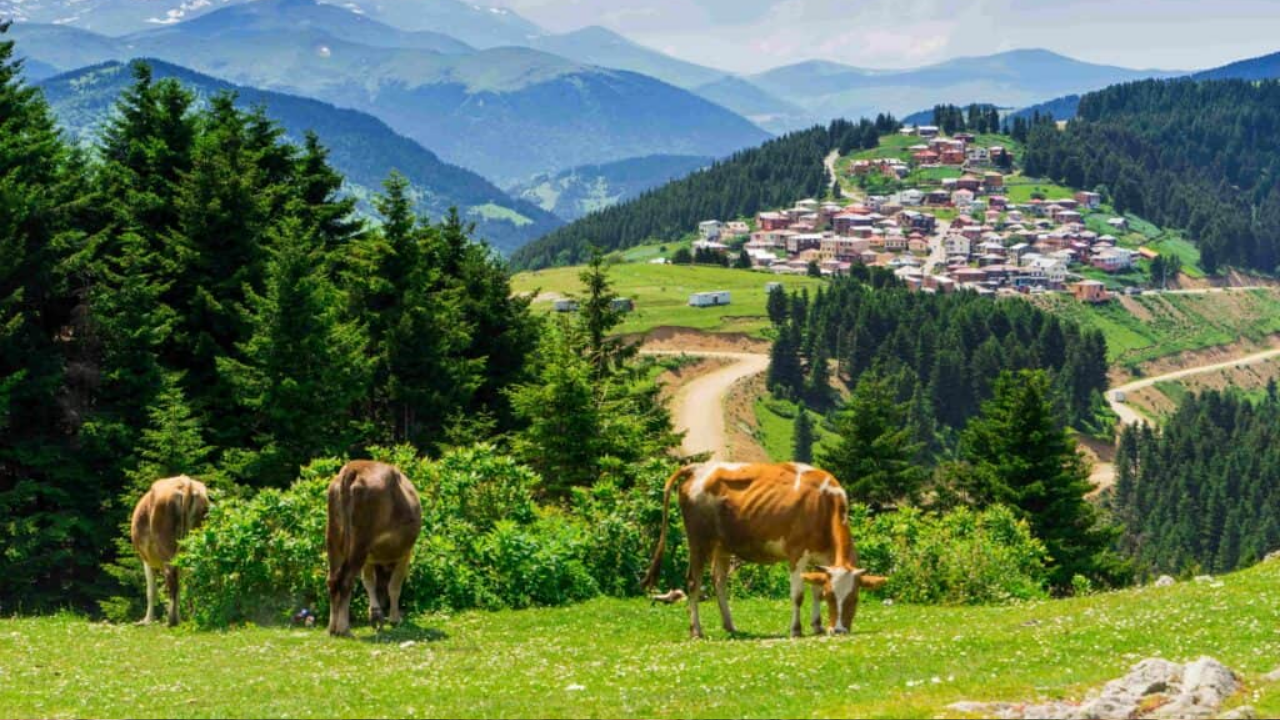 O İl İsmini Değiştirmek İstiyor 100 Bini Aşkın İmza Toplandı! (1)