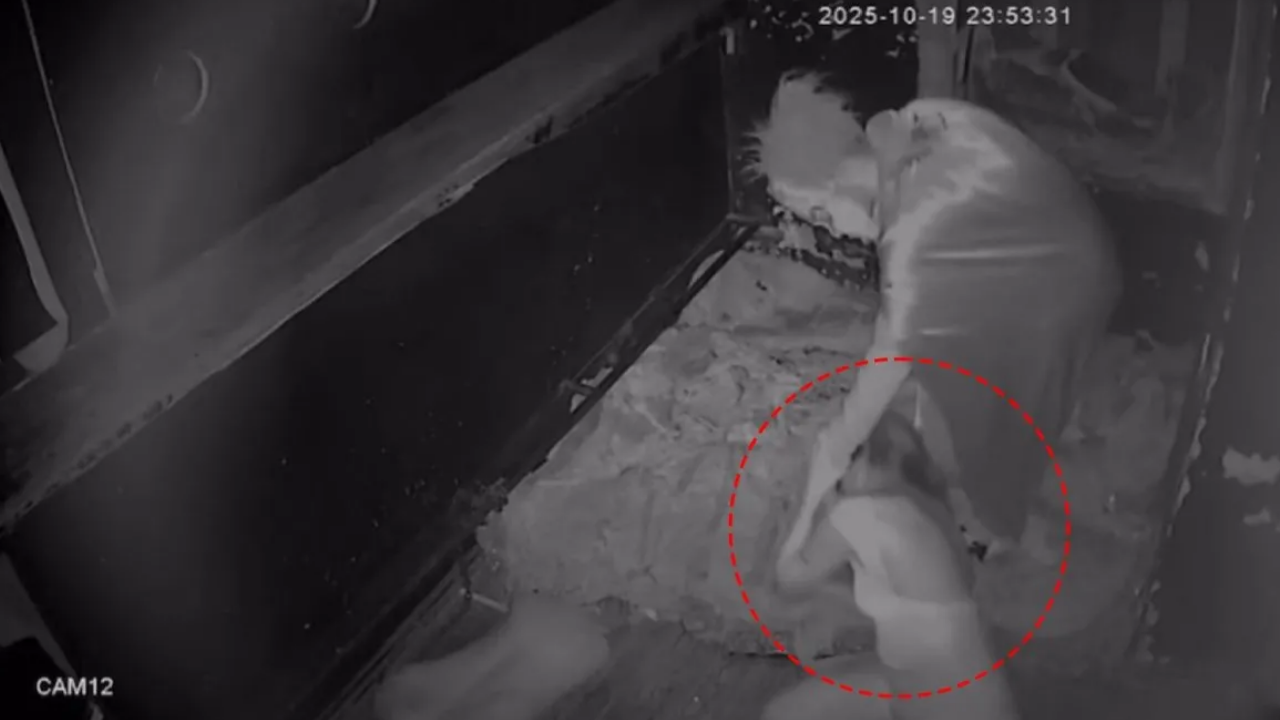 Taksim’de Korku Evi Dehşeti Genç Kadını Yere Yatırıp Elektroşok Verdi, Işletme Mühürlendi (2)