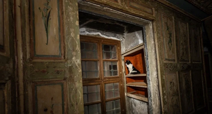 Topkapı Sarayı’nda Tarihi Kedi Kapıları Yeniden Açıldı4