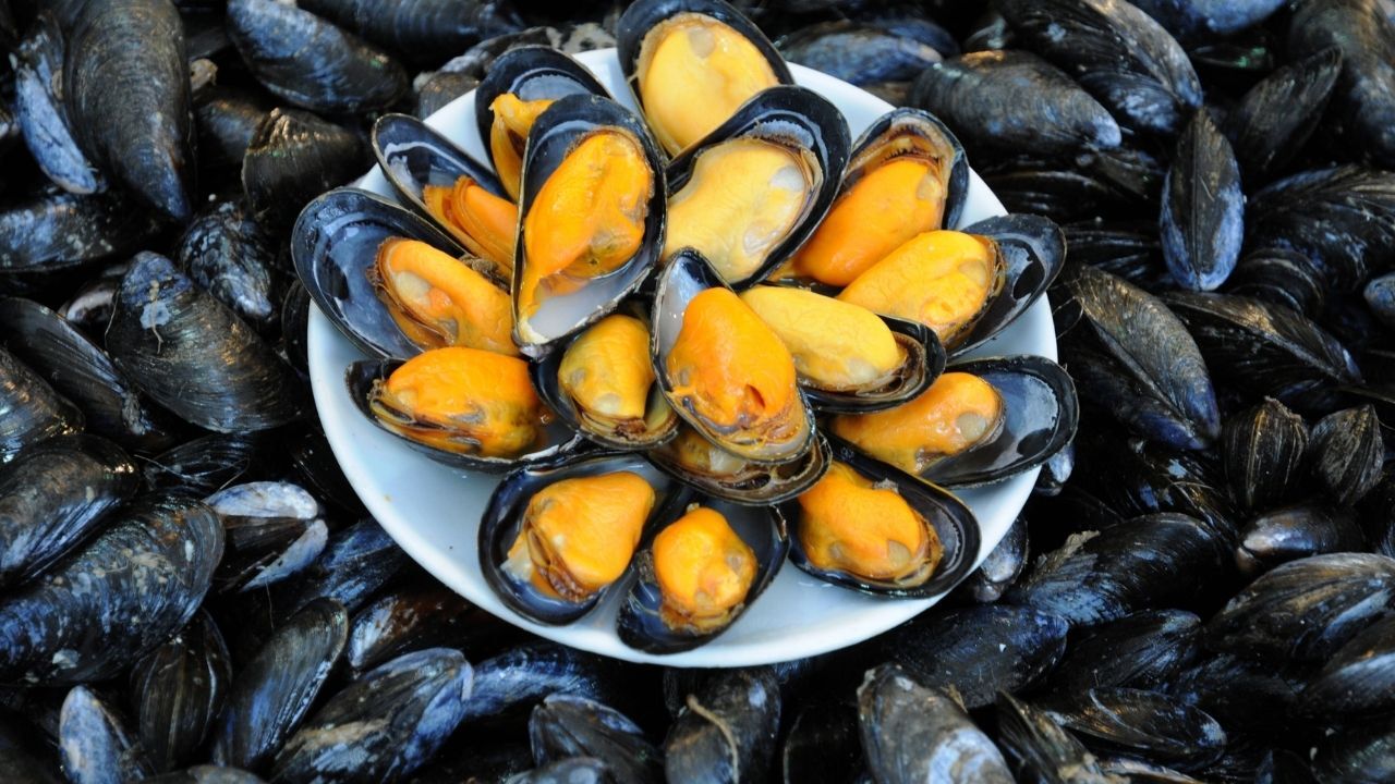 İstanbul’da Gıda Zehirlenmesi Faciası Almanya’dan Tatile Gelen Ailenin Iki Çocuğu Öldü (1)