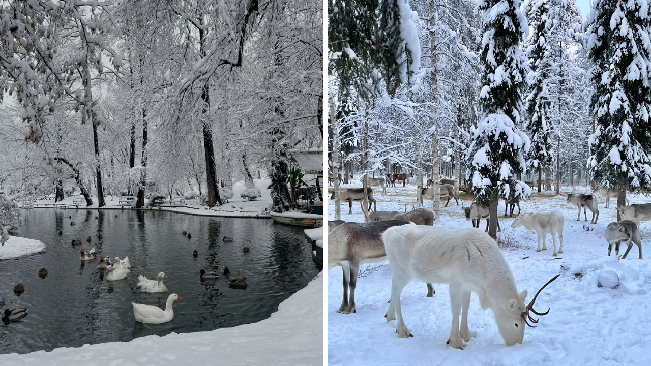 Kar Yağınca Hava Neden Isınır (2)